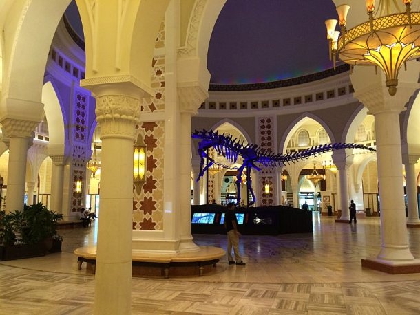 The Dubai Dino