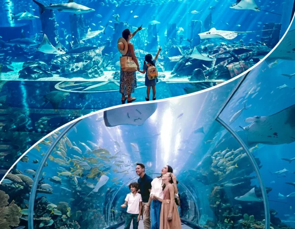 Dubai Aquarium & Underwater Zoo Tickets