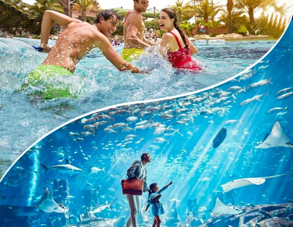 Book The Atlantis Aquaventure and Lost Chambers Combo Tickets