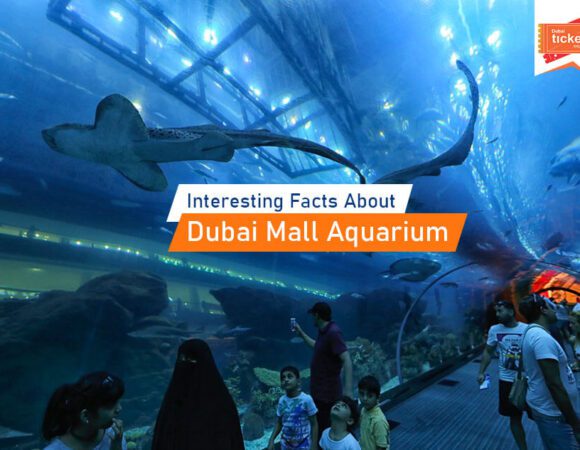 Interesting Facts About Dubai Mall Aquarium
