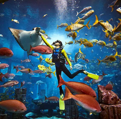 Lost World Aquarium Tickets