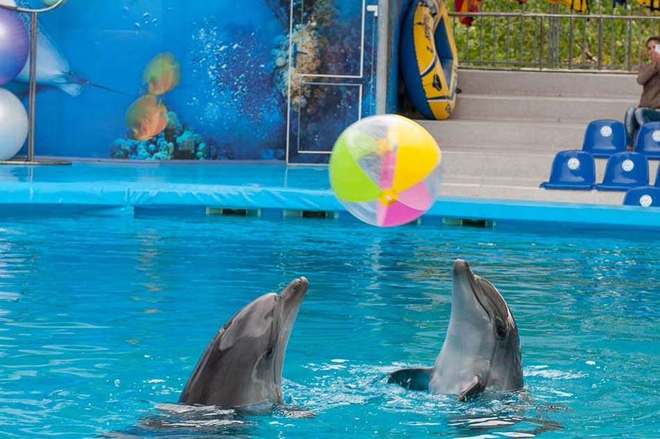 Dubai Dolphinarium