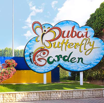 Dubai Butterfly Garden Tickets