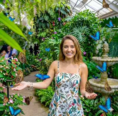 Dubai Butterfly Garden Tickets