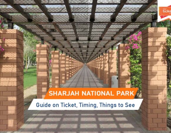 Sharjah National Park: Guide on Ticket, Timing, Things to See