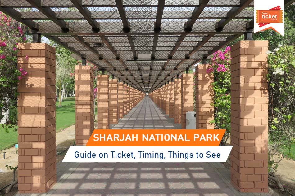 Sharjah National Park: Guide on Ticket, Timing, Things to See