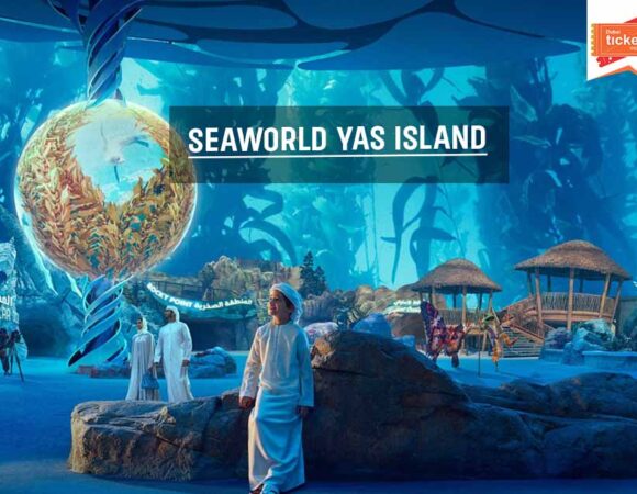 Seaworld Yas Island: Full Guide, Things to See & More