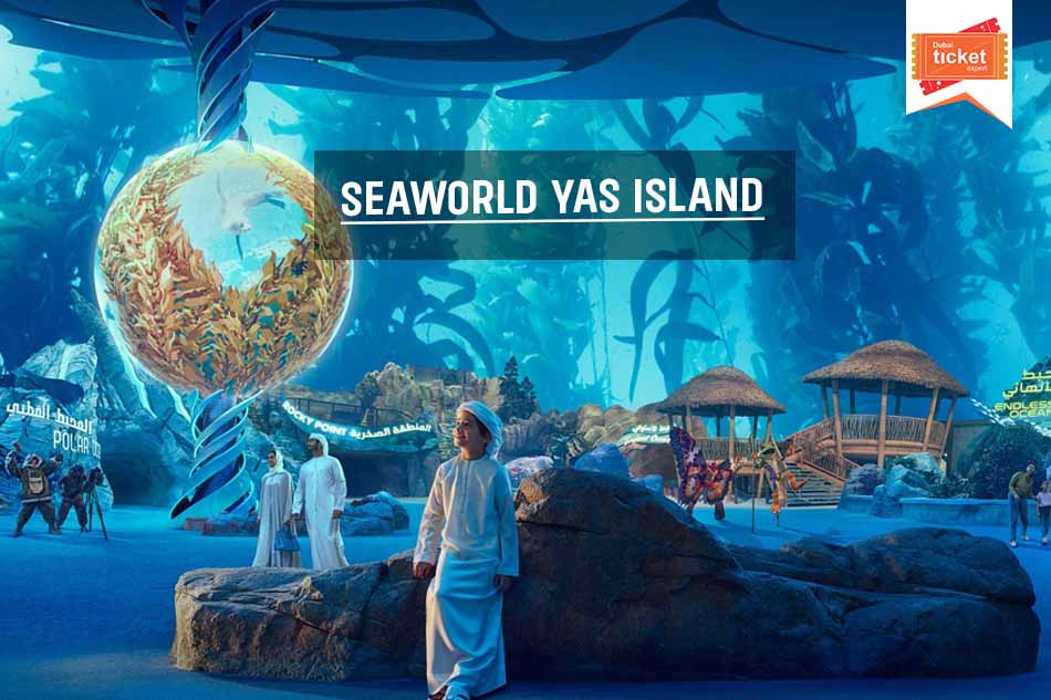 Seaworld Yas Island: Full Guide, Things to See & More