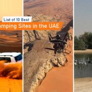 List of 10 Best Camping Sites in the UAE