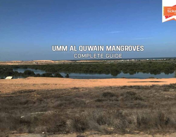 Umm Al Quwain Mangroves