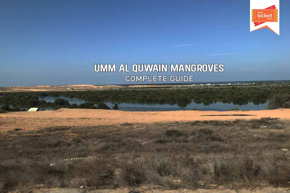 Umm Al Quwain Mangroves