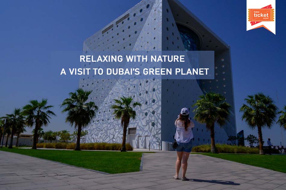 Relaxing with Nature: A Visit to Dubai’s Green Planet