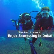 The Best Places to Enjoy Snorkeling in Dubai