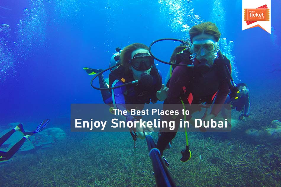 The Best Places to Enjoy Snorkeling in Dubai