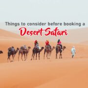 Things to consider before booking a desert safari