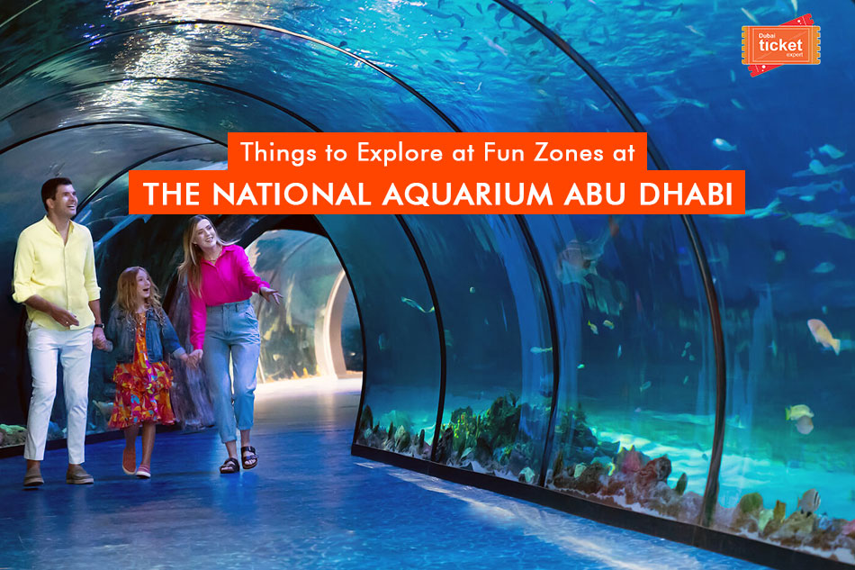 Things to Explore at National Aquarium Abu Dhabi