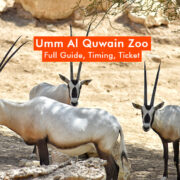 Umm Al Quwain Zoo