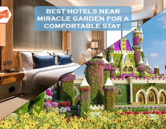 Best Hotels Near Miracle Garden for a Comfortable Stay