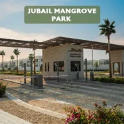 Jubail Mangrove Park