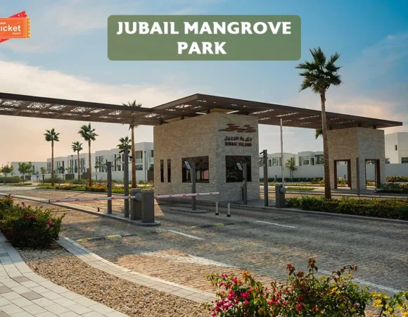 Jubail Mangrove Park: Guide from Ticket, Timing & Things to Do