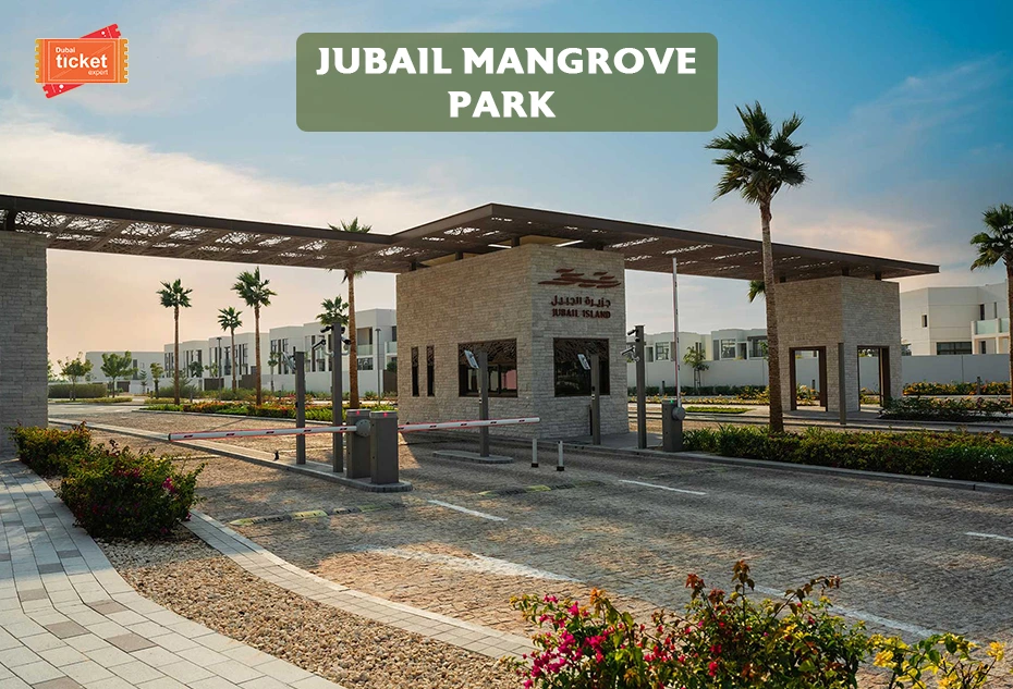 Jubail Mangrove Park: Guide from Ticket, Timing & Things to Do