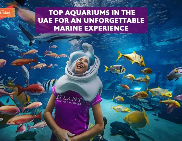 Top Aquariums to Visit in the UAE