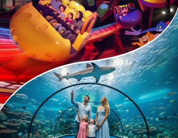 Warner Bros and National Aquarium Abu Dhabi Combo Tickets