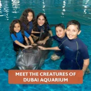 Creatures of Dubai Aquarium: Meet Sharks, Rays & More