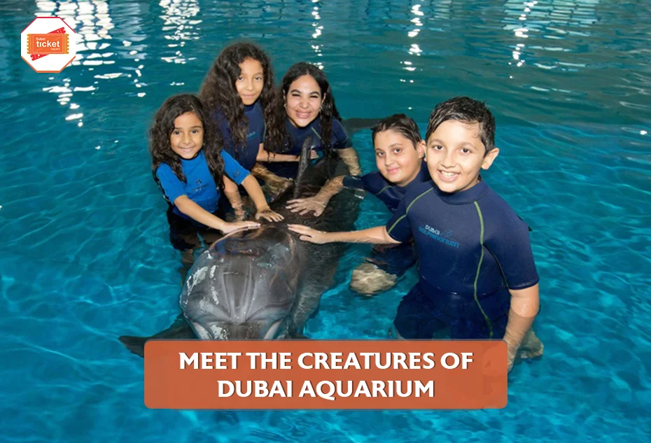 Meet the Creatures of Dubai Aquarium