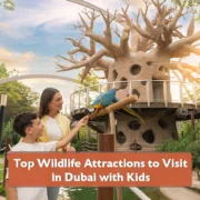 Top Wildlife Attractions to Visit in Dubai with Kids