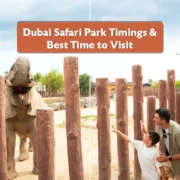 Dubai Safari Park Timings- Total Duration & Best Time to Visit