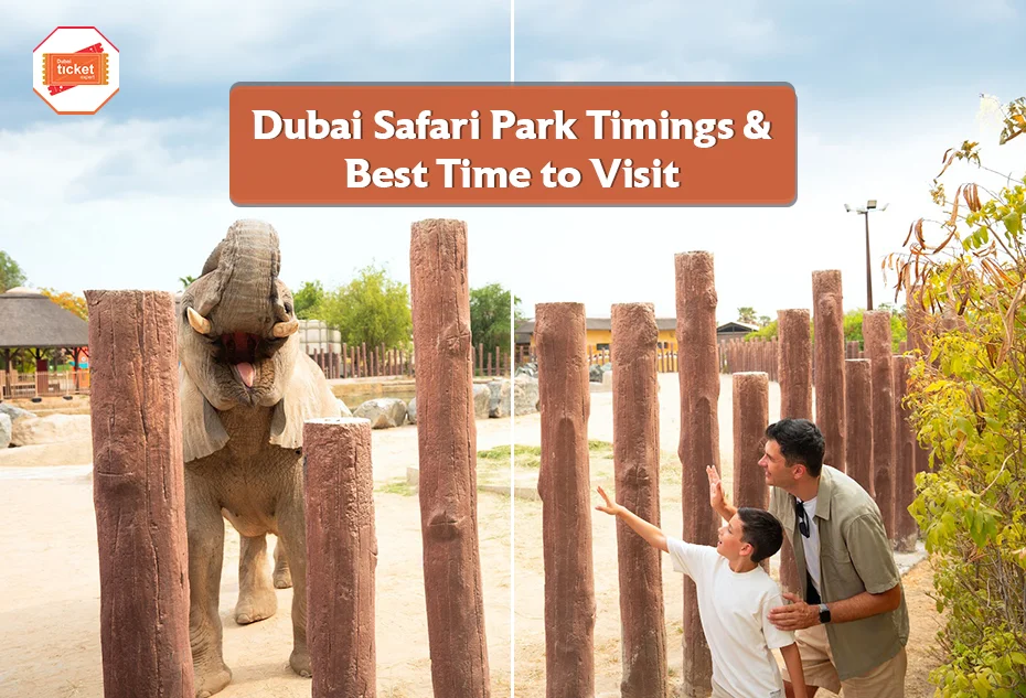 Dubai Safari Park Timings- Total Duration & Best Time to Visit