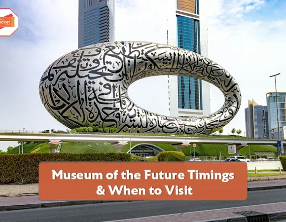 Museum of the Future Timings and When to Visit