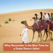 Why November is the Best Time for a Dubai Desert Safari