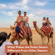 What Makes the Dubai Desert Different From Other Deserts