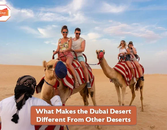 What Makes the Dubai Desert Different From Other Deserts