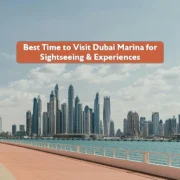 Best Time to Visit Dubai Marina for Sightseeing & Experiences