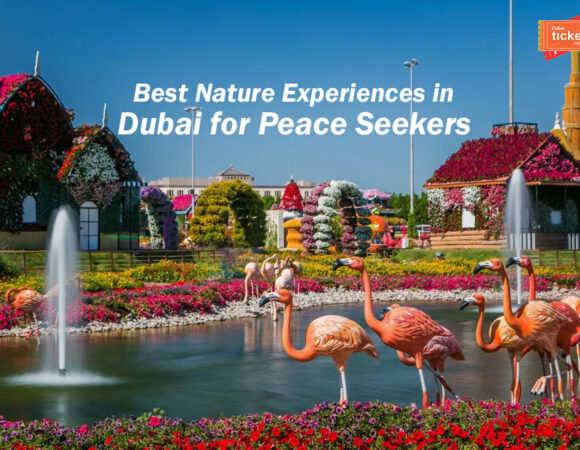 Best Nature Experiences in Dubai for Peace Seekers