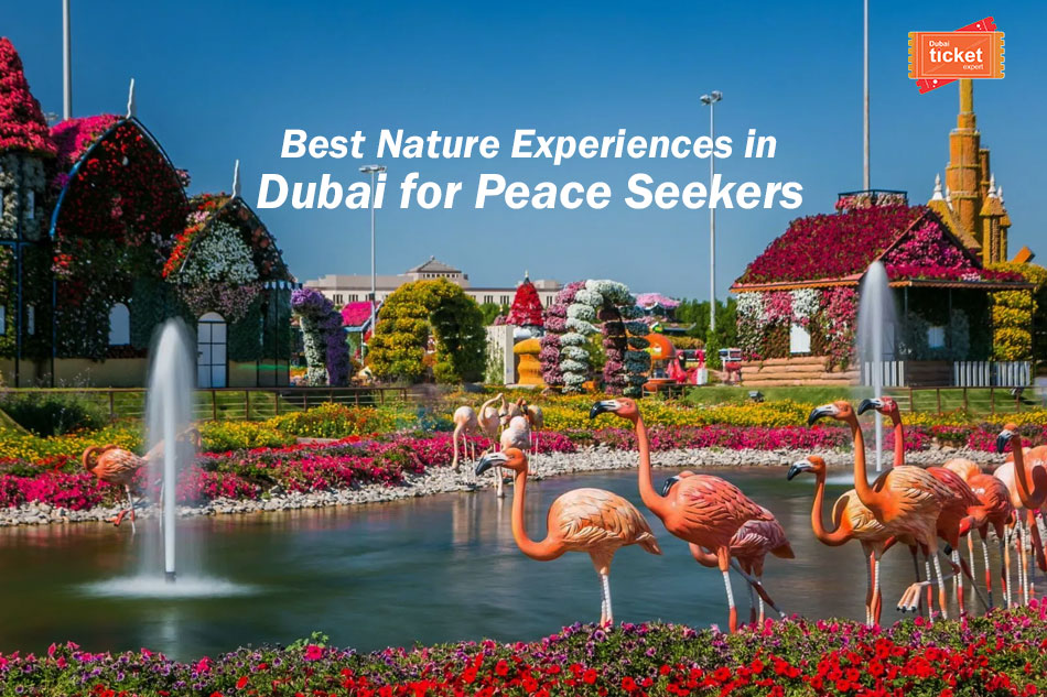 Best Nature Experiences in Dubai for Peace Seekers