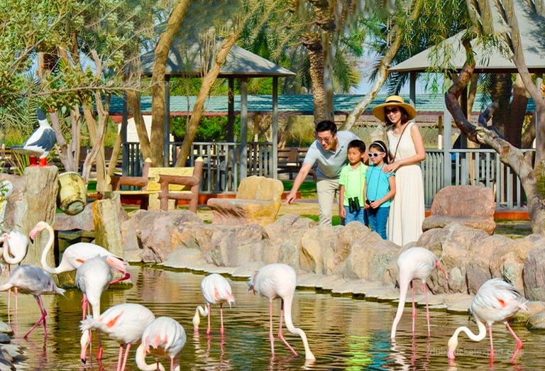 al areesh wildlife park dubai