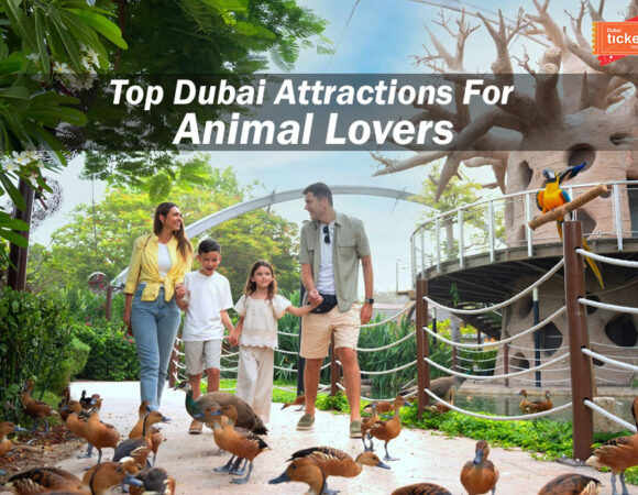 Top Dubai Attractions For Animal Lovers