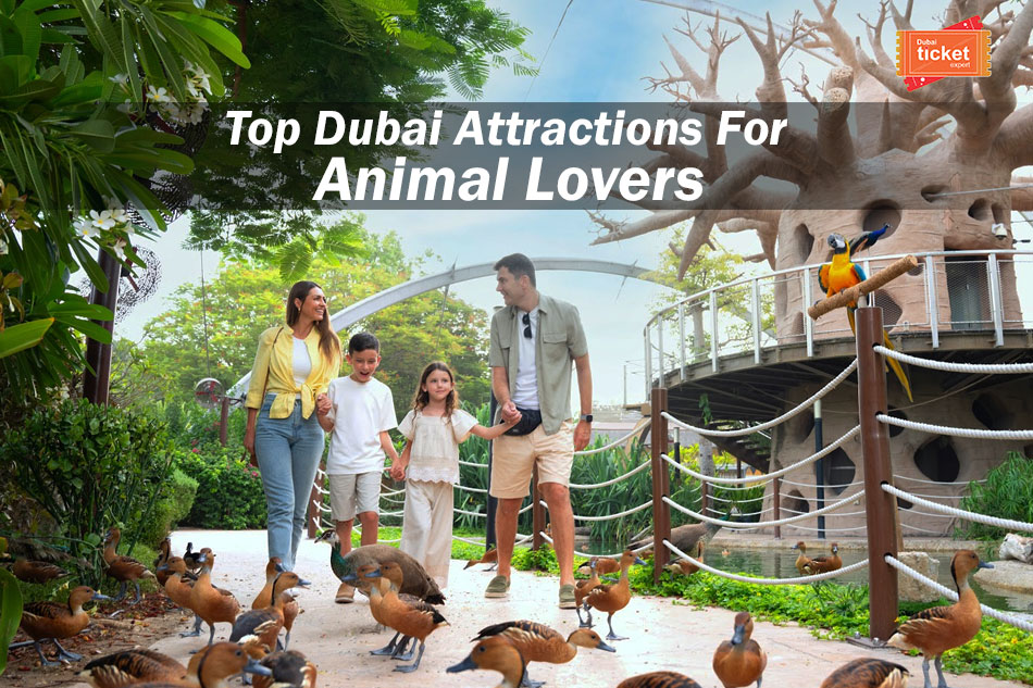 Top Dubai Attractions For Animal Lovers