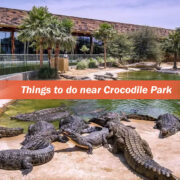 Things to do near Crocodile Park
