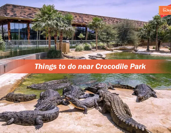 Things to do near Dubai Crocodile Park