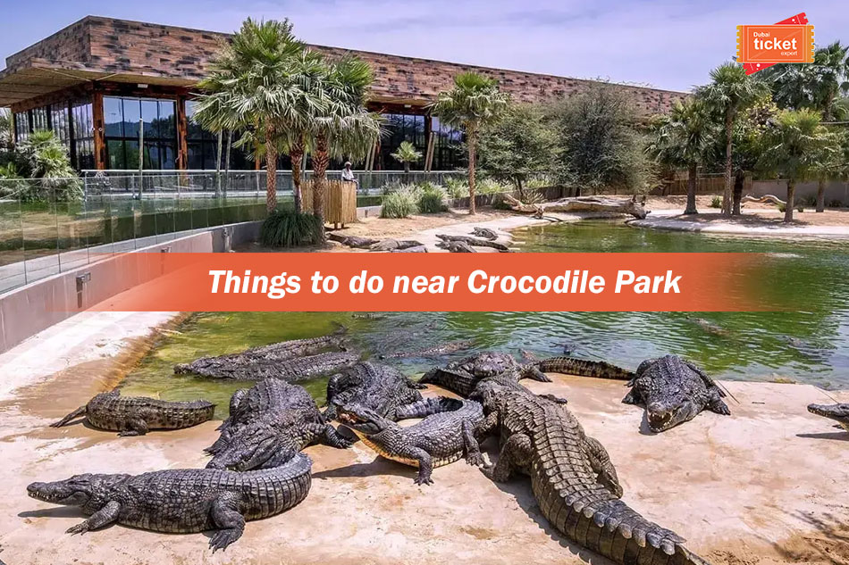 Things to do near Dubai Crocodile Park