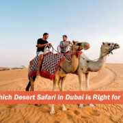 Right Dubai Desert Safari: Tips to Pick the Best