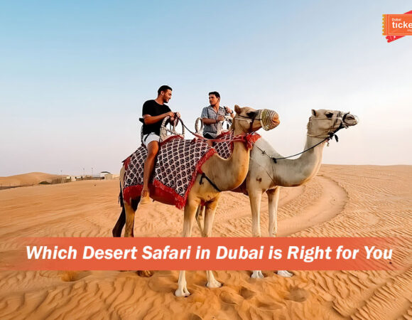 Which Desert Safari in Dubai is Right for You?