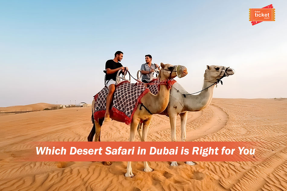 Which Desert Safari in Dubai is Right for You?
