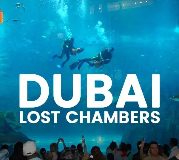 The Lost Chambers Aquarium