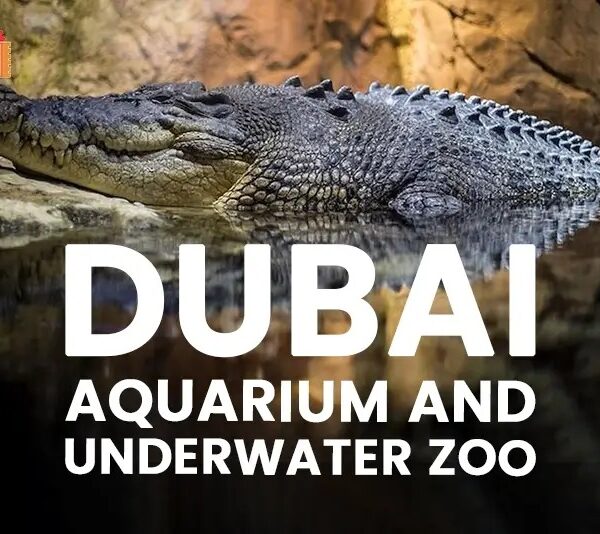 Dubai Aquarium & Underwater Zoo